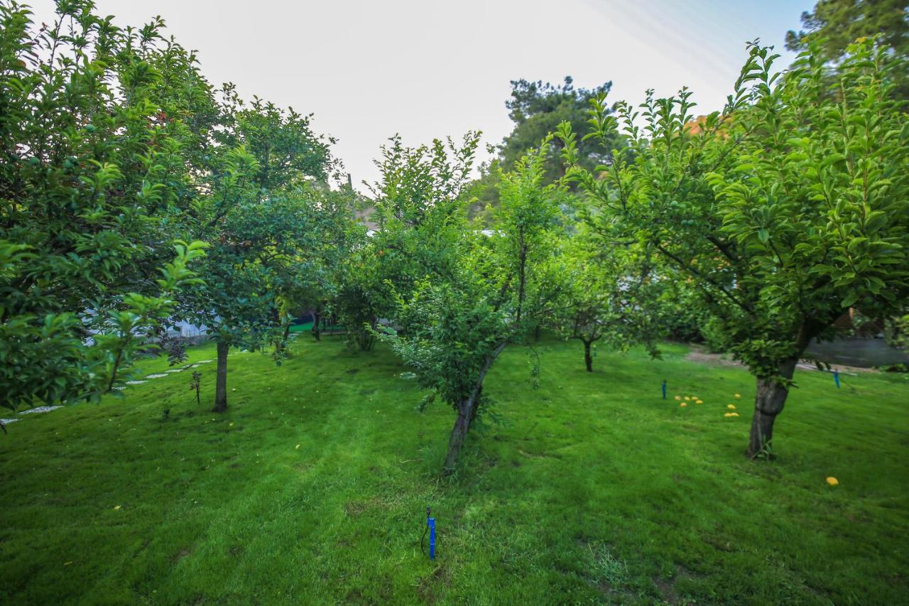 Seker Bungalov Apartment Cirali Exterior photo